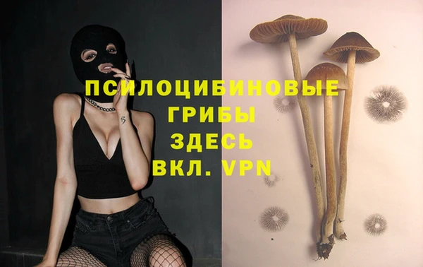 MDMA Приозерск