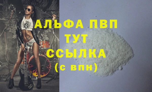 СК Алексин