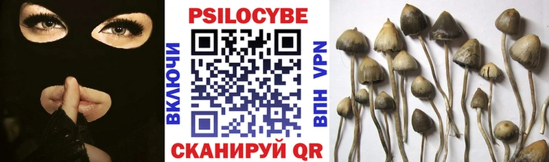 продажа наркотиков  Берёзовский  Псилоцибиновые грибы Cubensis 